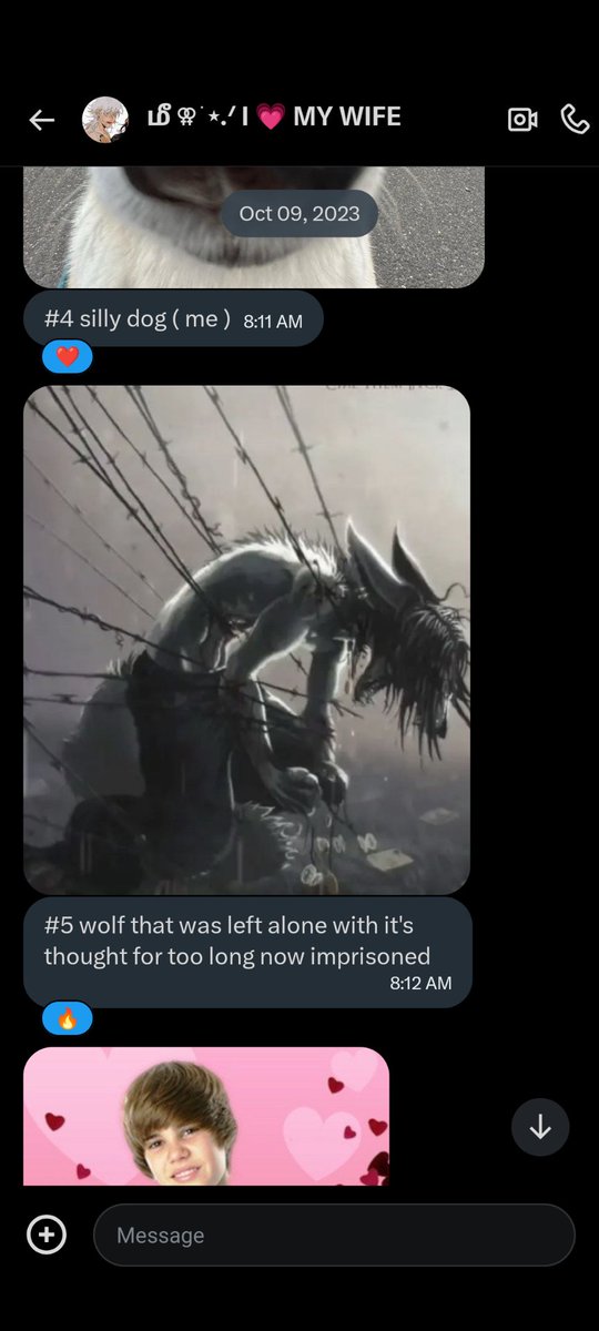 🖤 saw xlov ⋆⭒˚.⋆ tweet media