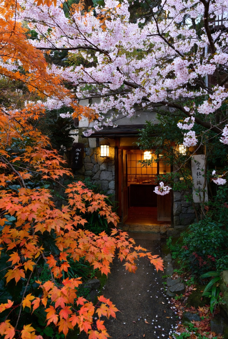 OliviaJP1990's tweet image. I truly believe that wealth begins in the mind. 🇯🇵 
Moving away from a scarcity mentality has opened so many doors for me. Start by valuing your unique skills and the rest will follow. It’s all about the growth mindset! 
#MindsetMatters #Growth #SuccessTips