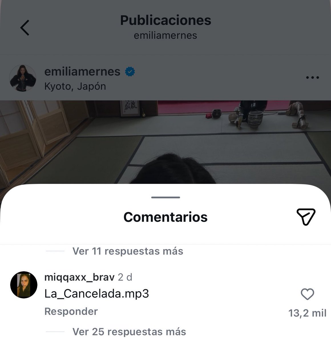 Josefina tweet media