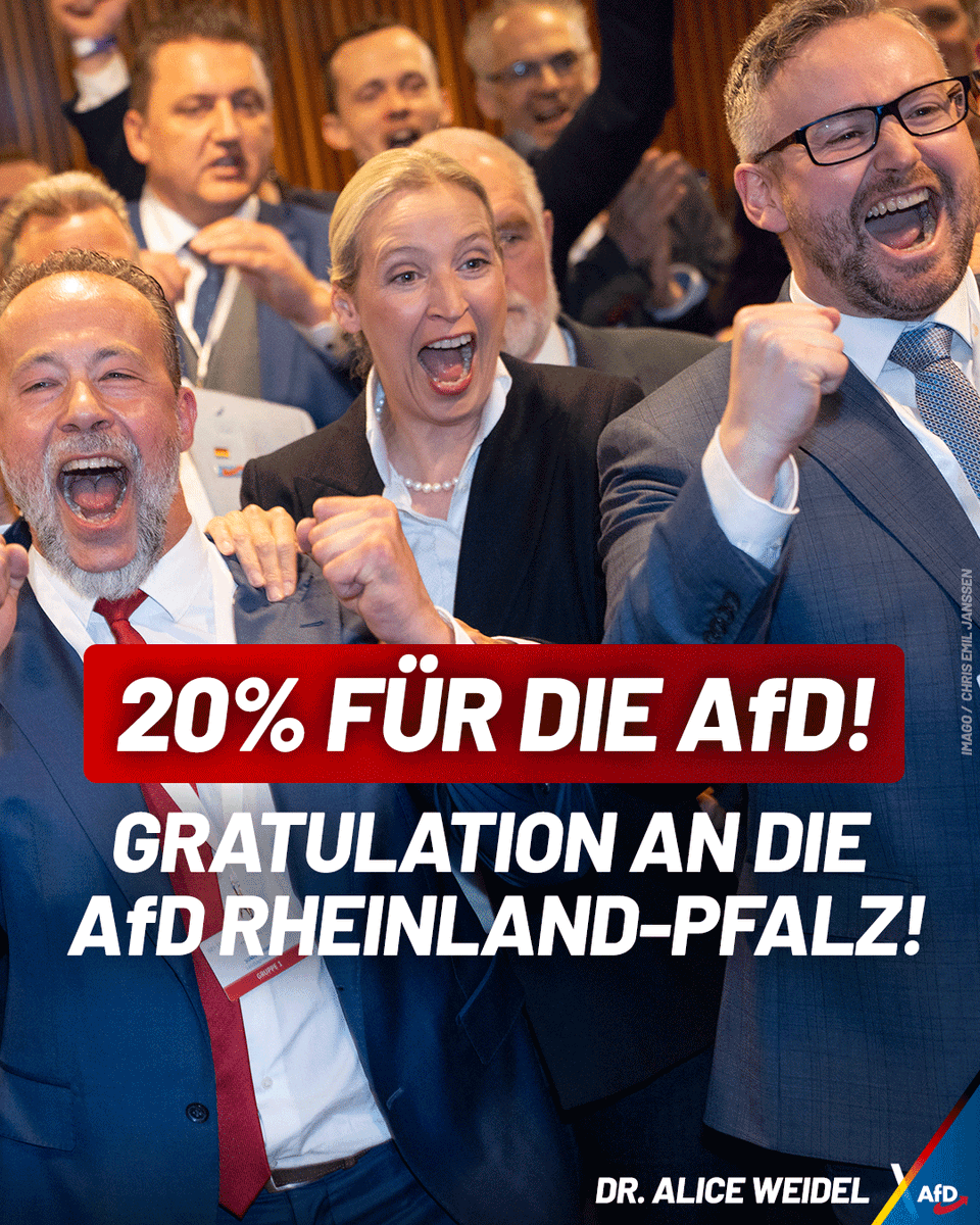 Alice Weidel tweet media