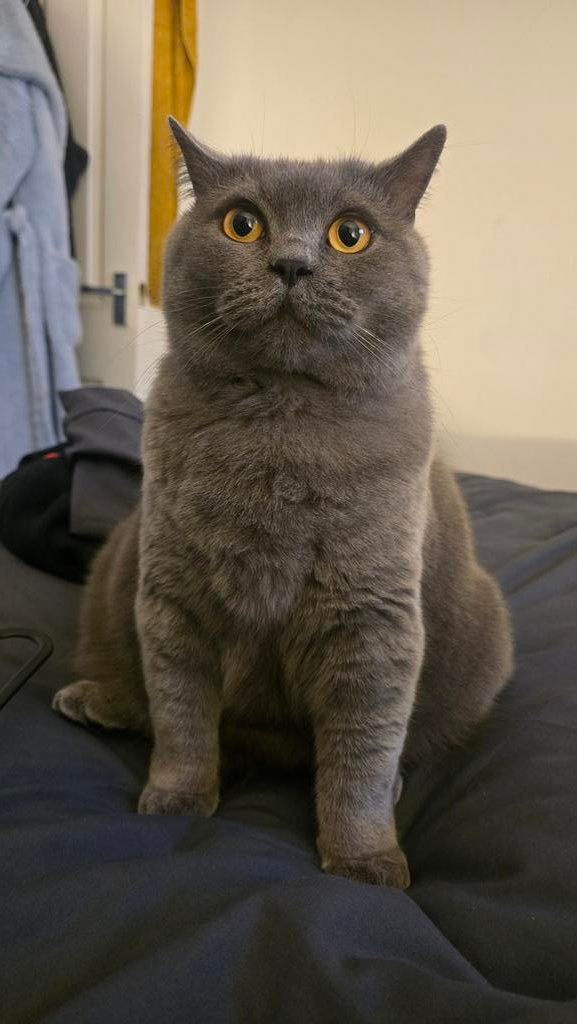 Rebecca 🖤 tweet media