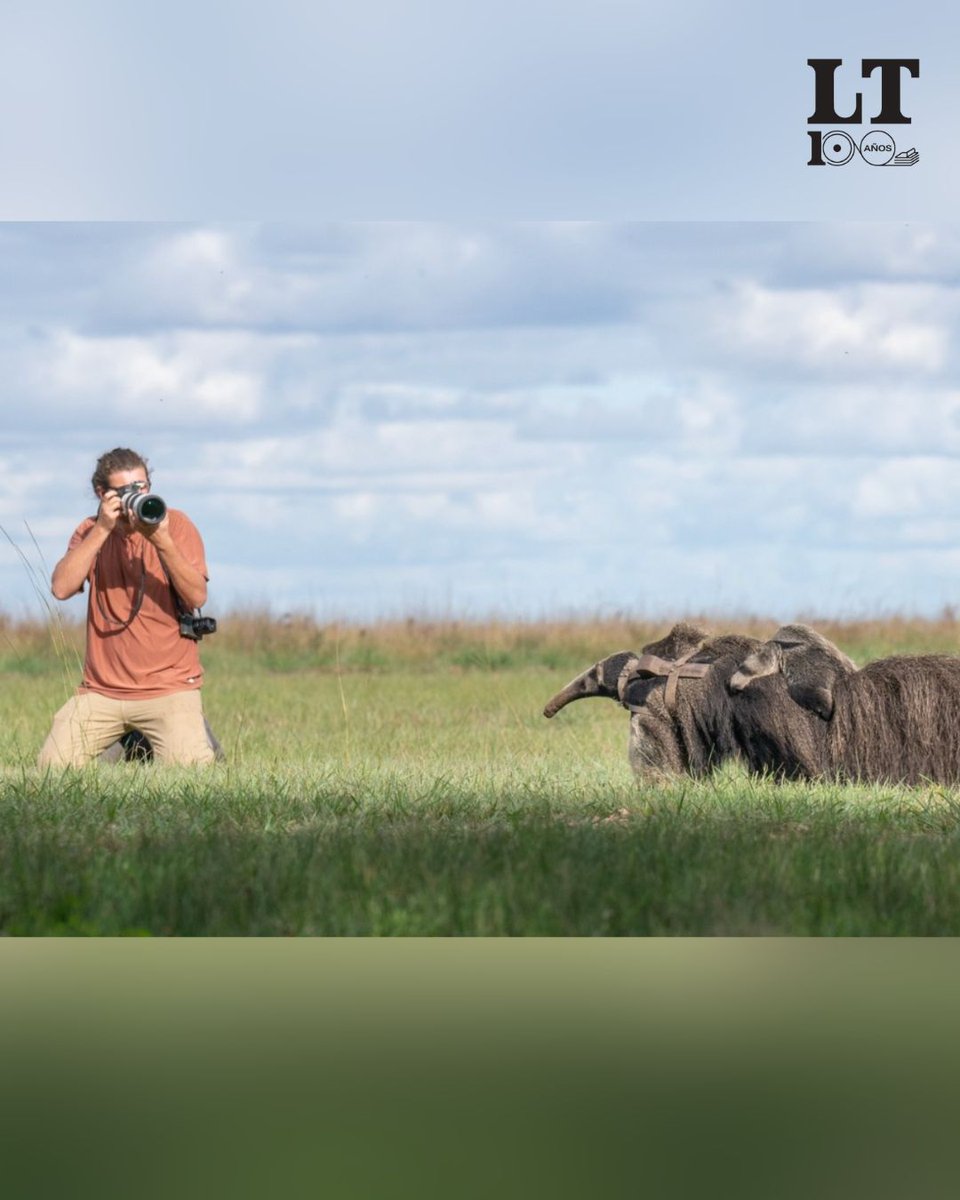 Diario La Tribuna Paraguay tweet media