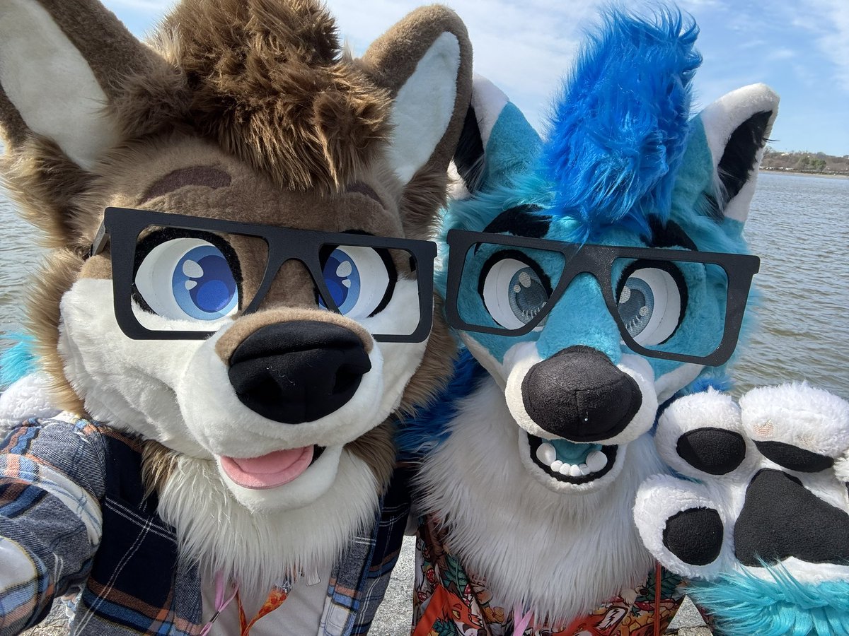 Zuni 🐾 tweet media