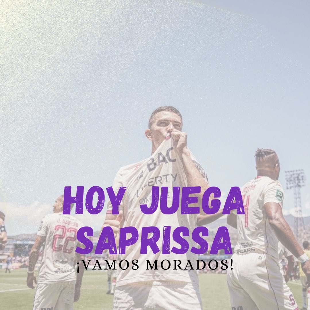 Bicho Morado 🦟🟣 tweet media