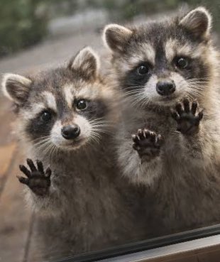 key 💙 tweet media