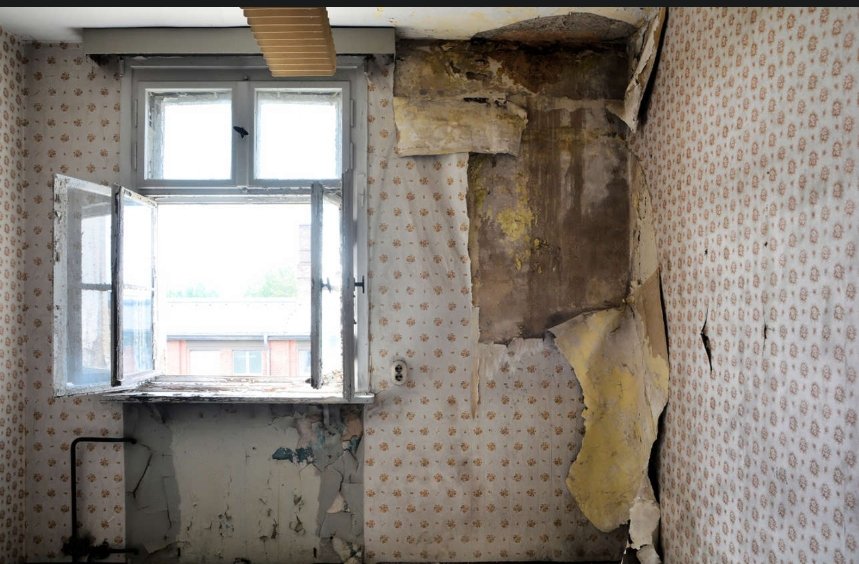 aiitooor.21 tweet media