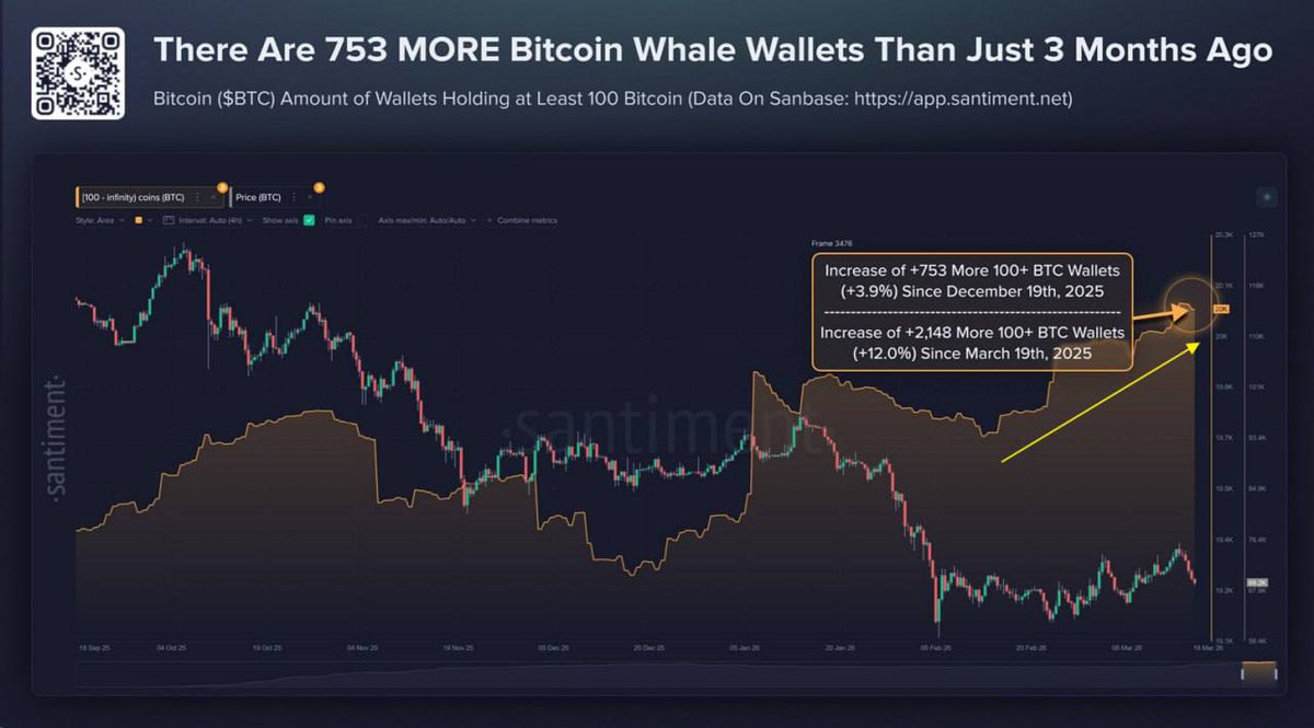 Mr. Bidder tweet media