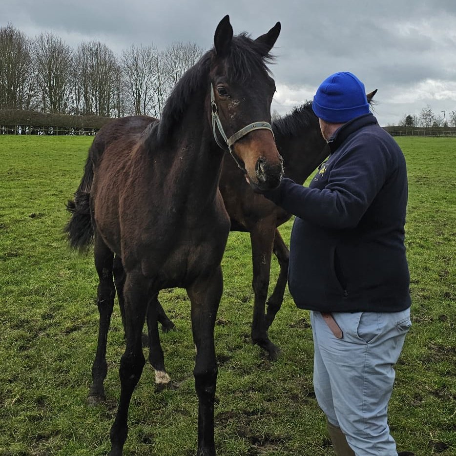 Emris Racing tweet media