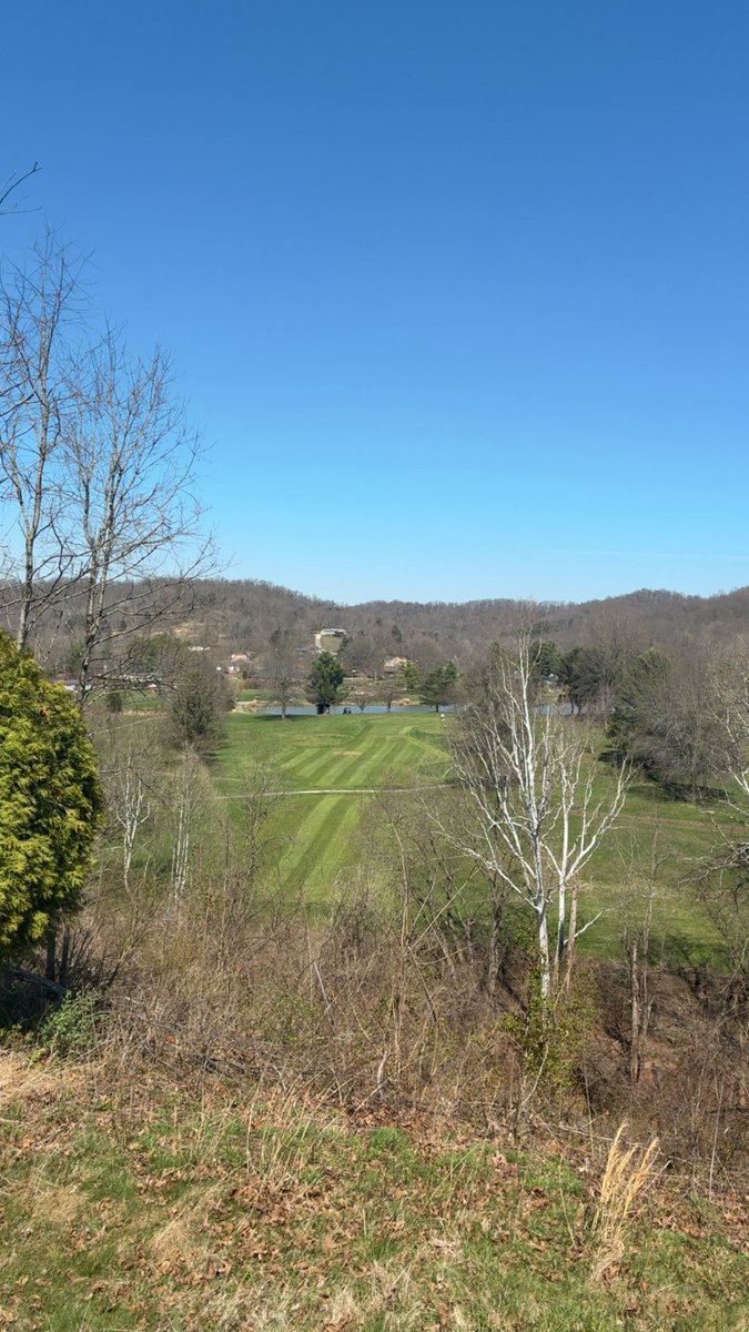 Josh Wolfe tweet media