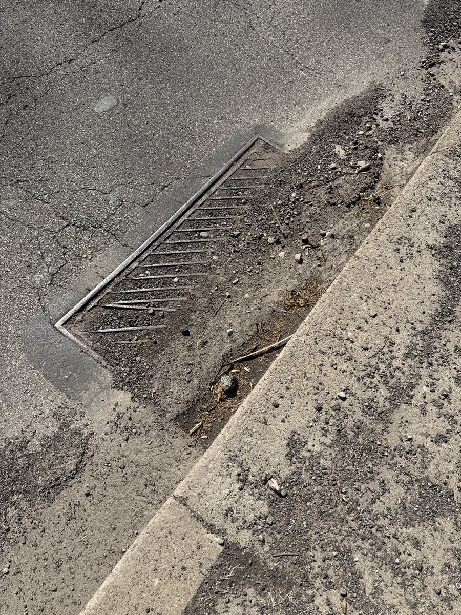 JamisonCombs's tweet photo. @pgh2o Storm drains completely clogged on Forbes Ave between crosswalk at Fern Hollow Bridge and N Dallas Ave. Why aren’t these routinely maintained? @danielgilman @PGHDPW https://t.co/8V2tIRFDng