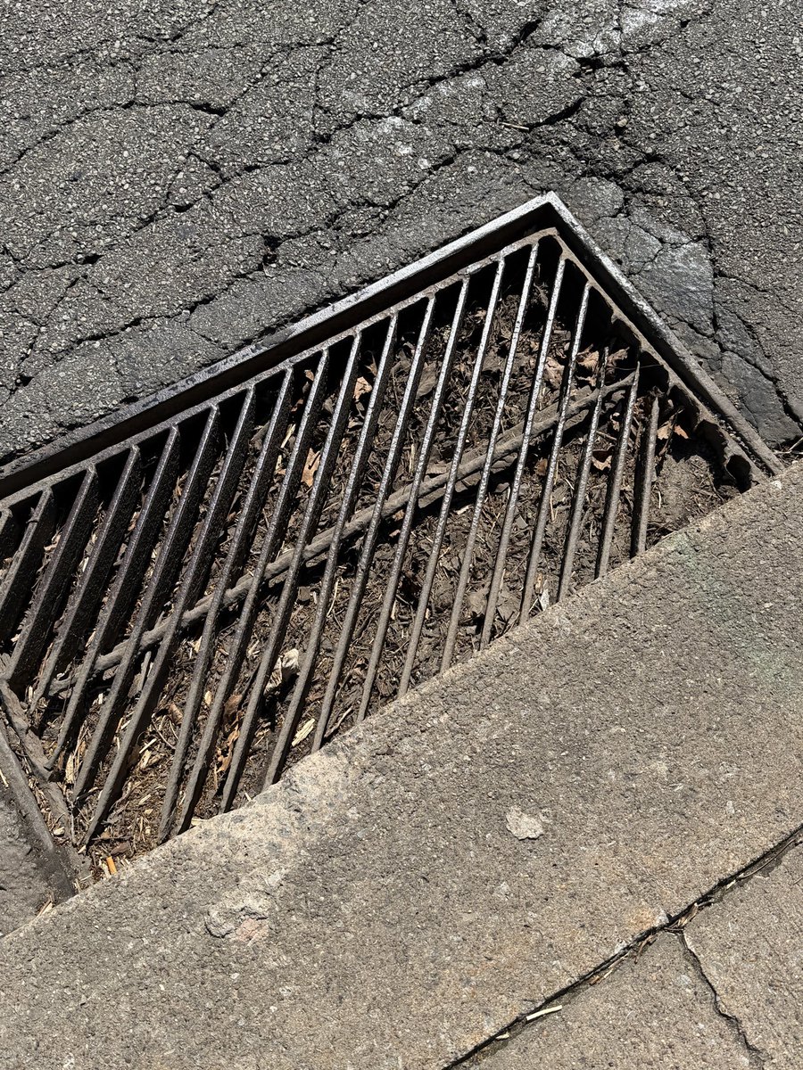 JamisonCombs's tweet photo. @pgh2o Storm drains completely clogged on Forbes Ave between crosswalk at Fern Hollow Bridge and N Dallas Ave. Why aren’t these routinely maintained? @danielgilman @PGHDPW https://t.co/8V2tIRFDng