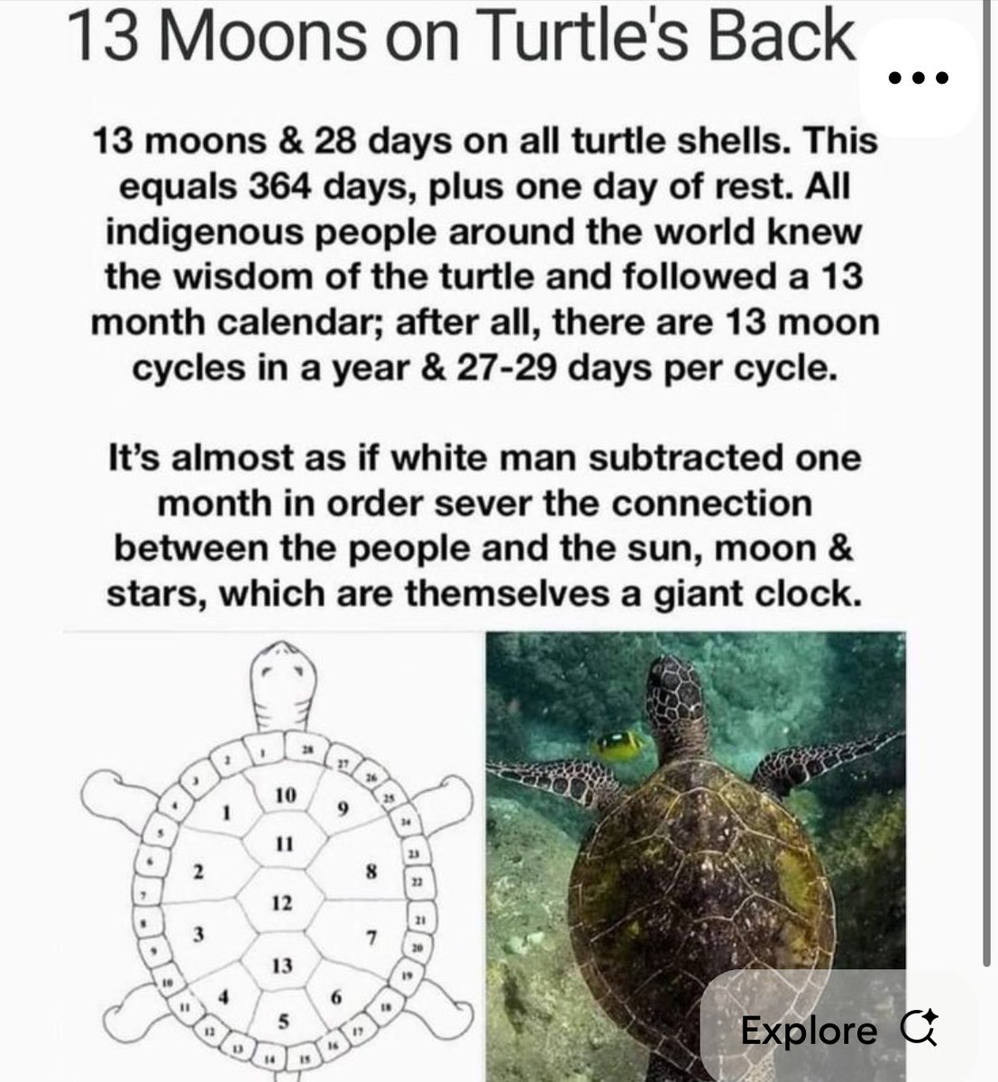 Dreamspace2 tweet media