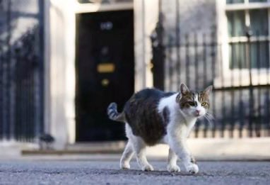 Nutmeg's Crew🌻🇺🇦 tweet media