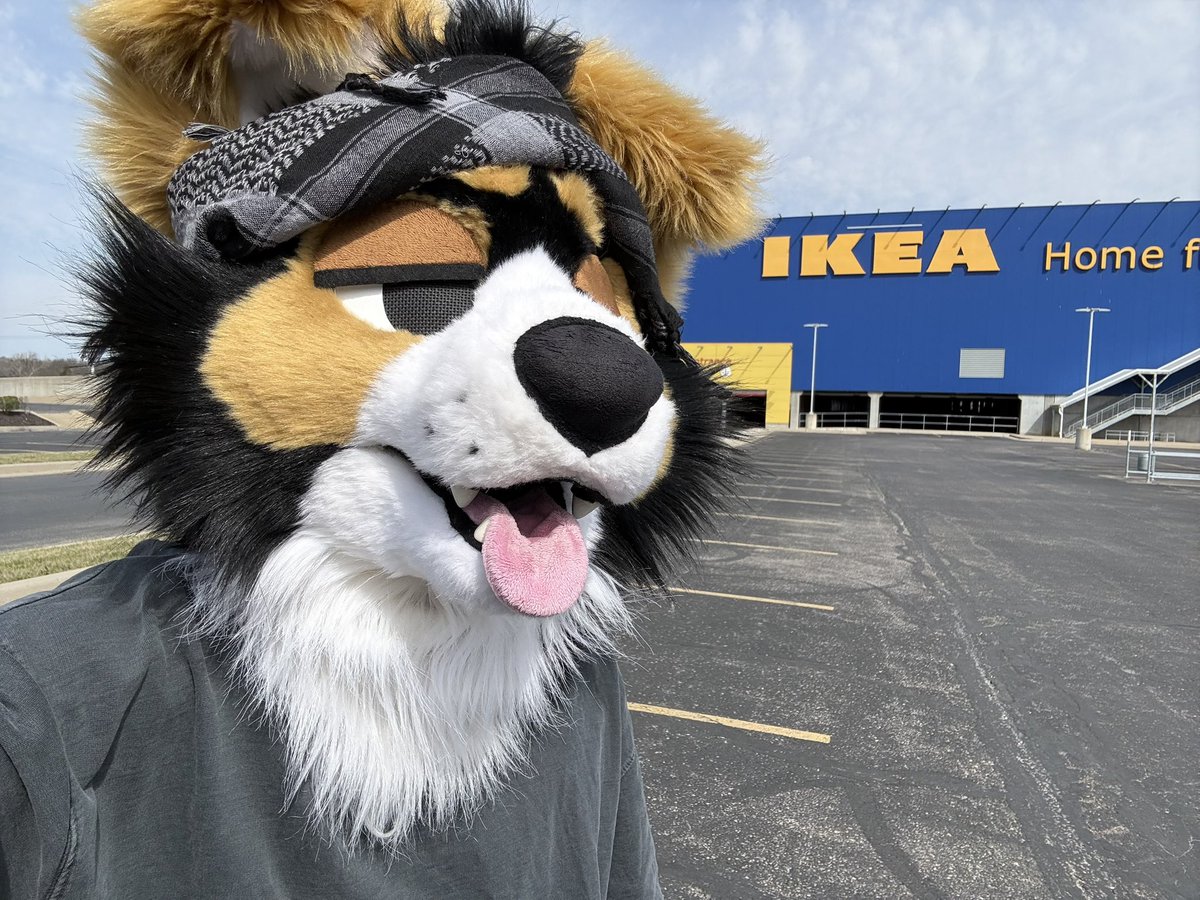 norf 🫠 tweet media