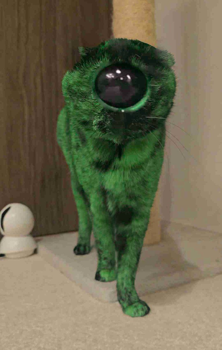 99% Roblox ASYM Confessions The III tweet media