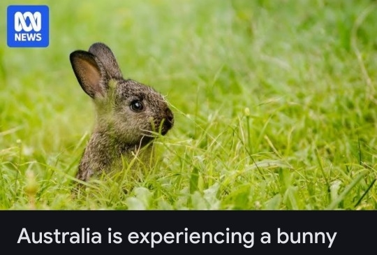 cassandra kairo tweet media