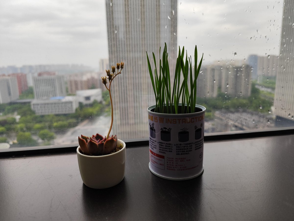 Alessia prete tweet media