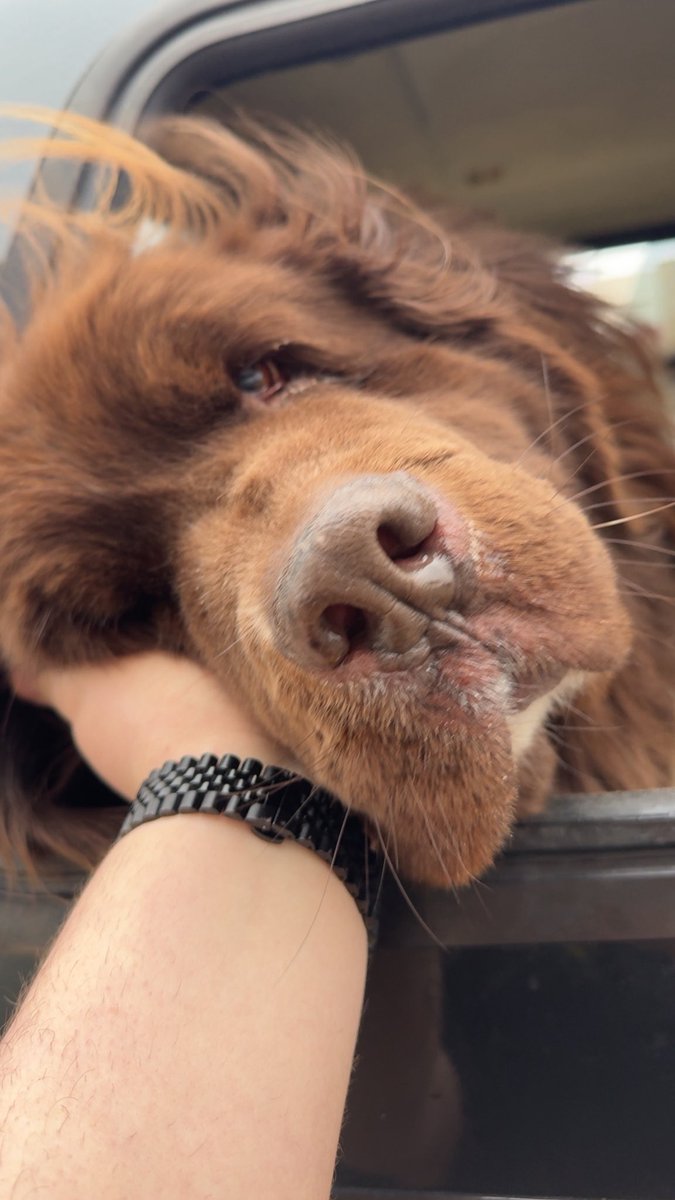 SmittyJ (New @ who dis?) tweet media