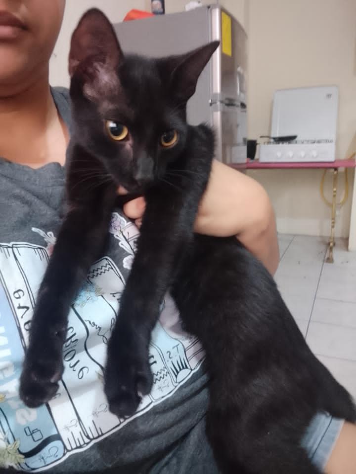 Ciudadela Guayacanes tweet media