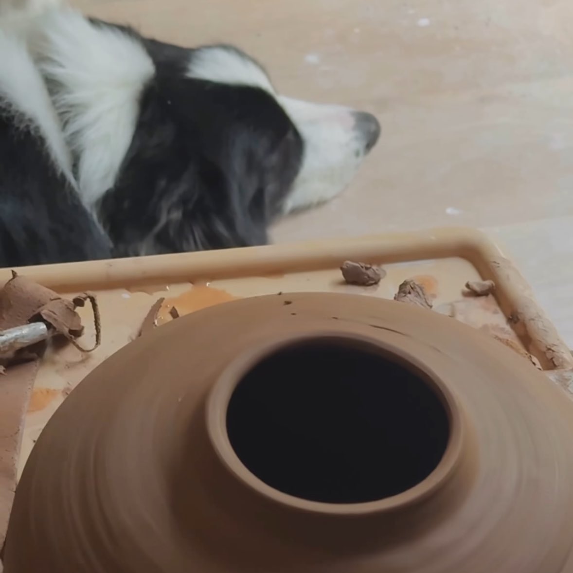 war space tweet media