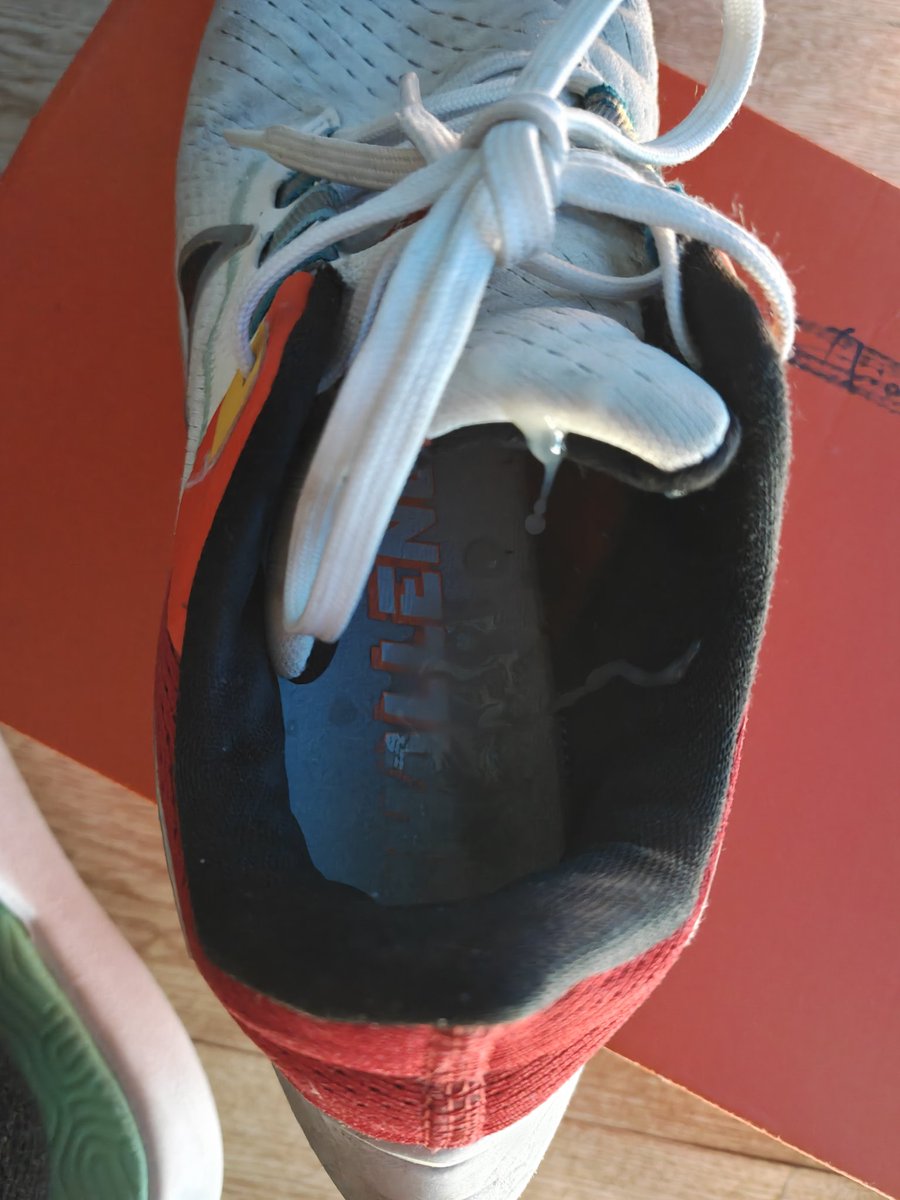 淏(两千粉抽奖) tweet media