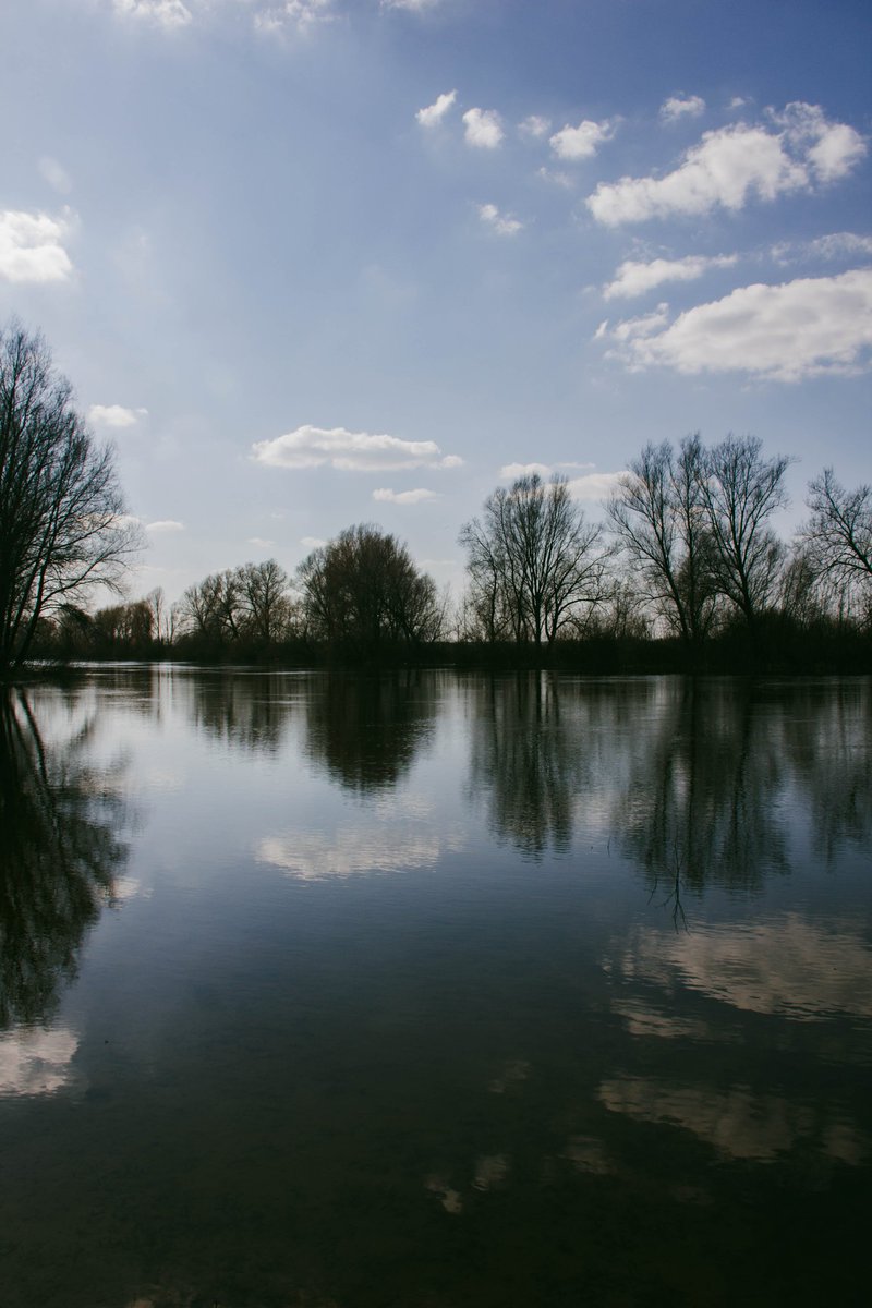 alaska_cw tweet media