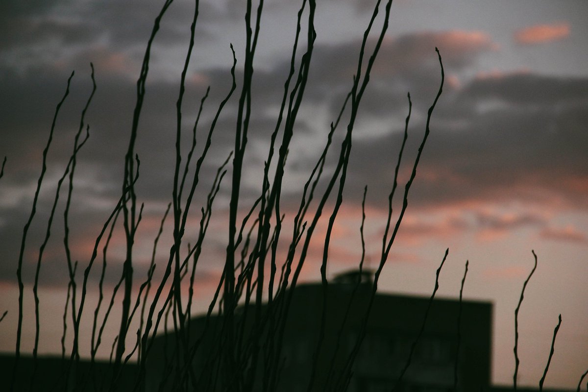 alaska_cw tweet media