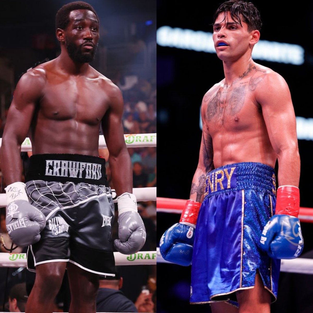 Fightstoked tweet media