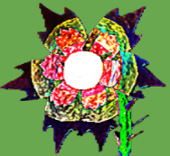 ZBB (Moving to Bluesky, link in desc.) tweet media