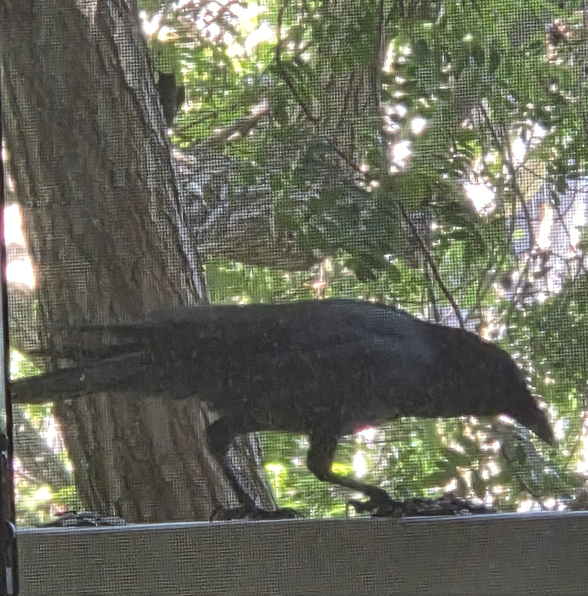 Actually_Tina_Fanfest_Bound_FFXIV tweet media