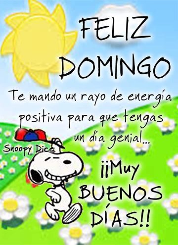 manlio ber. tweet media