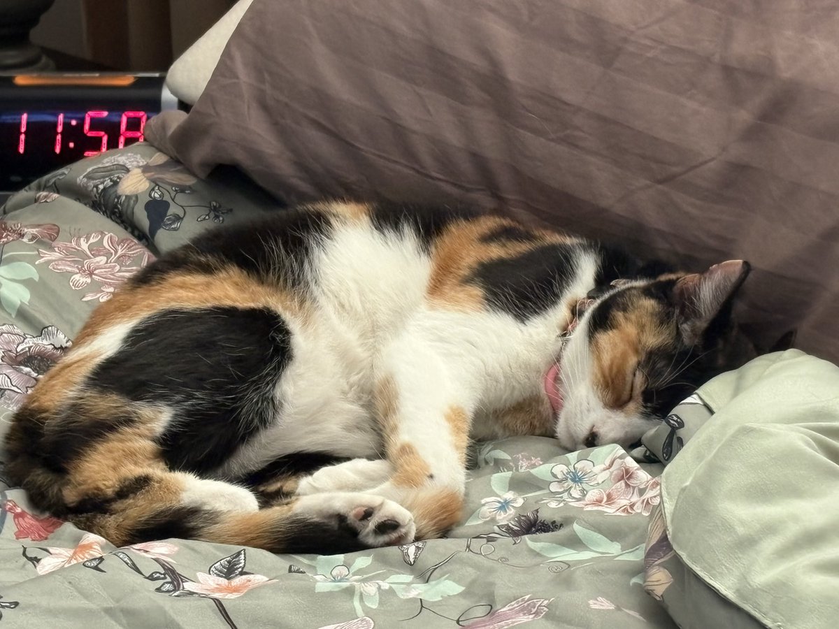 Auntie debla ⚾️💙 tweet media