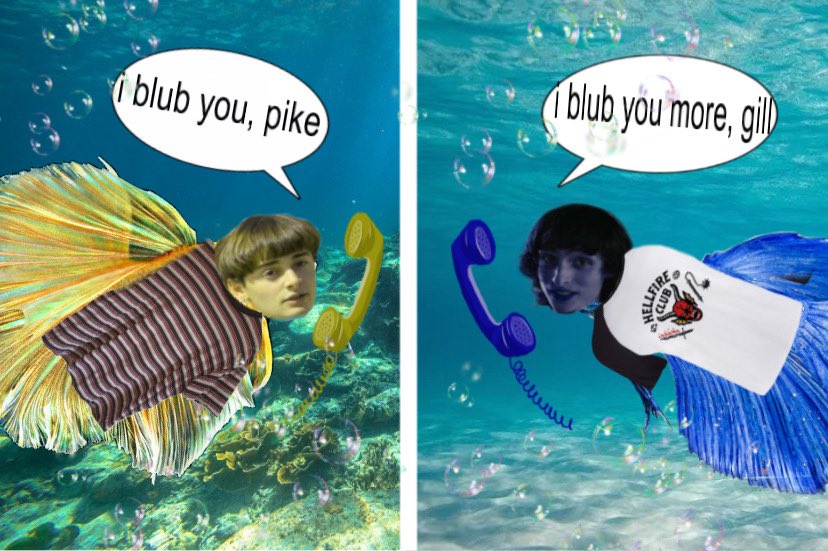 catinnoodles's tweet photo. uh oh! #hellcali pike and gill are in separate tanks, but never in separate hearts ❤️‍🩹 #bubbler 🐠🫧 https://t.co/bBKlsvzfRf