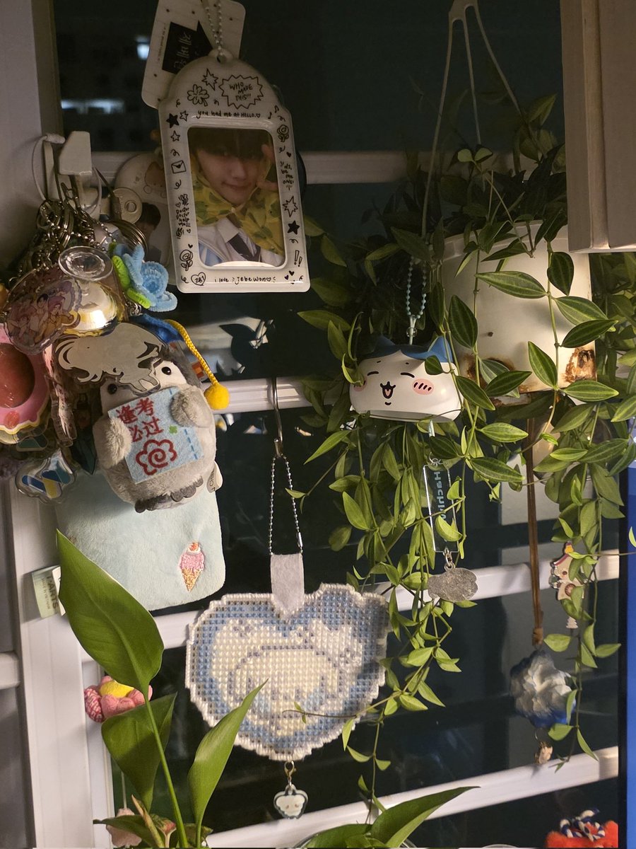 xin! ݁˖༘⋆ tweet media