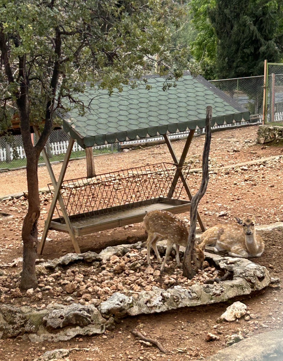 svnghelia | ENHYPEN IS 7 tweet media