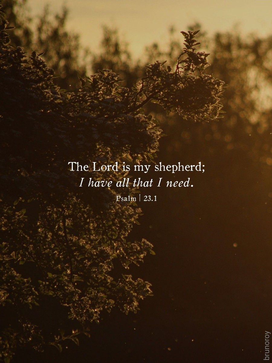 Aesthetic.Guyy tweet media