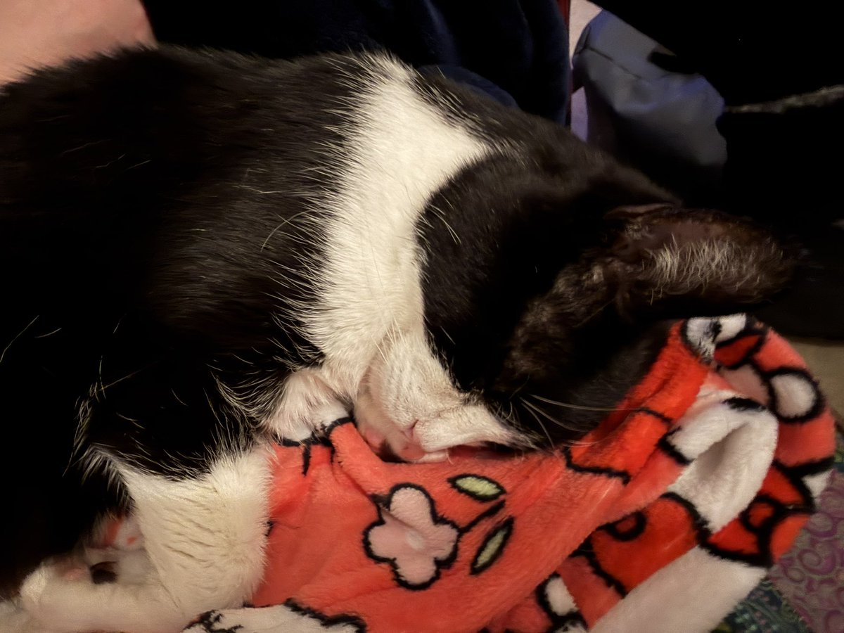 Sam McCartney-Manning tweet media