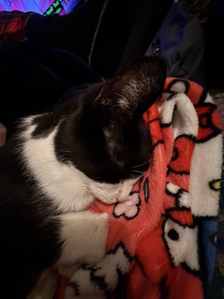 Sam McCartney-Manning tweet media