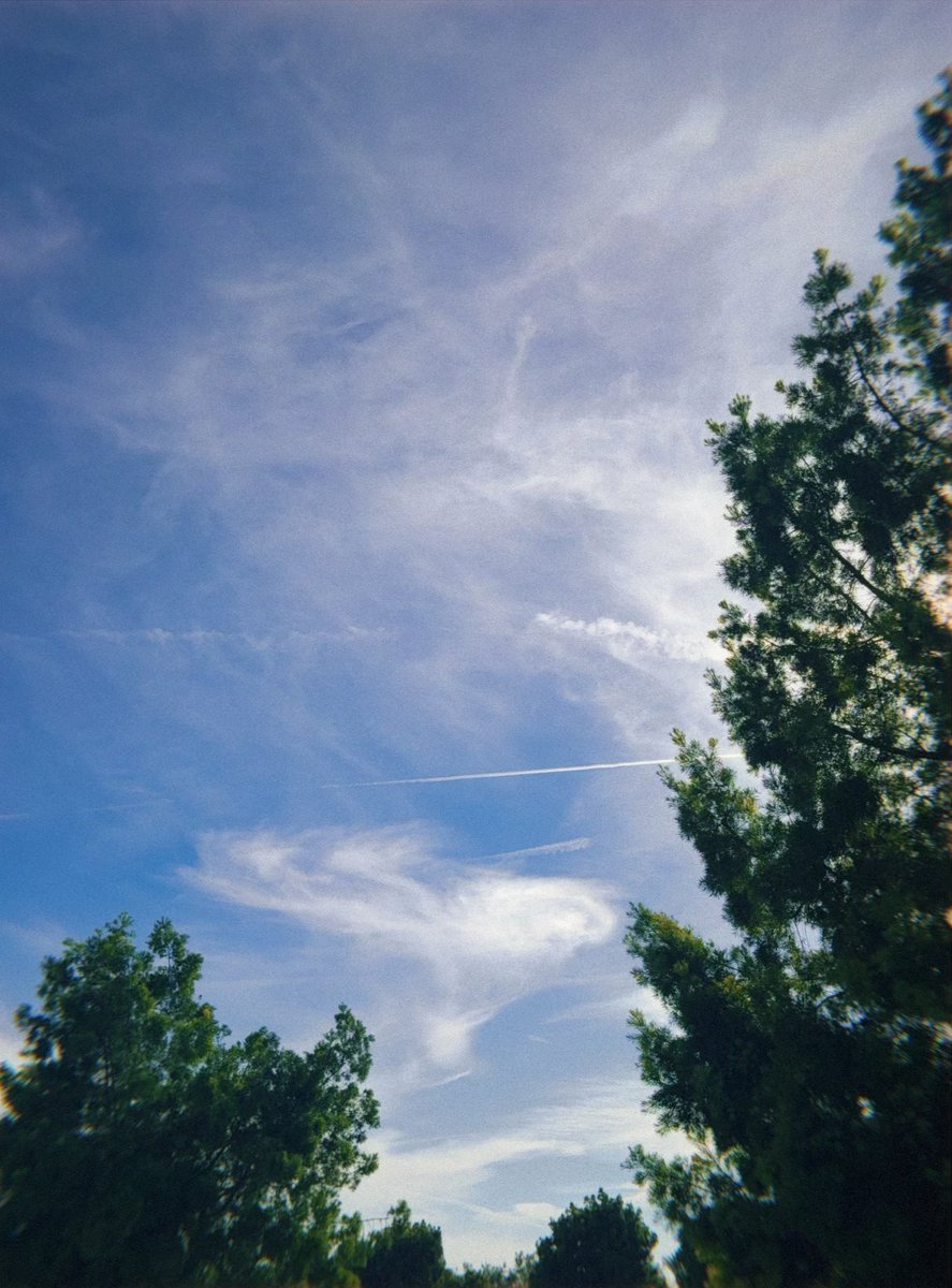 LDinspired(Same on BluSky) tweet media