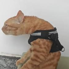 Madeleine/Ray tweet media