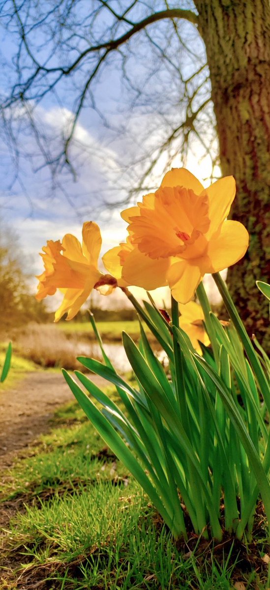 Steven morgan tweet media