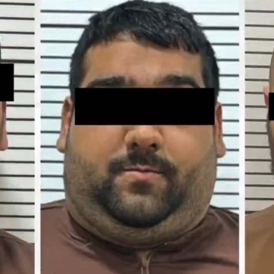 ماجد tweet media