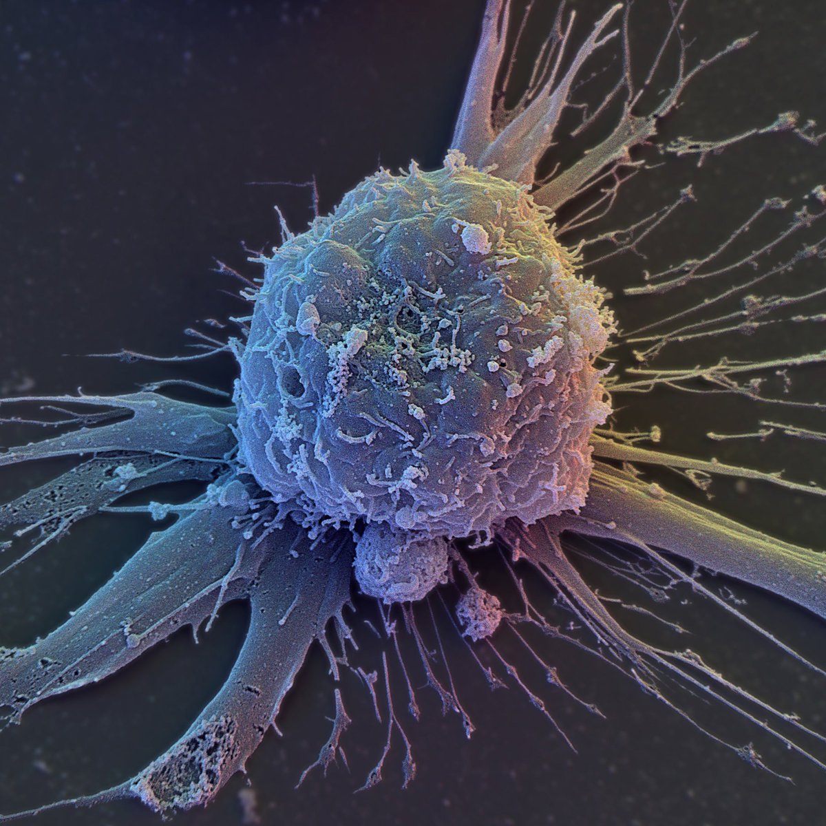 All day Astronomy tweet media