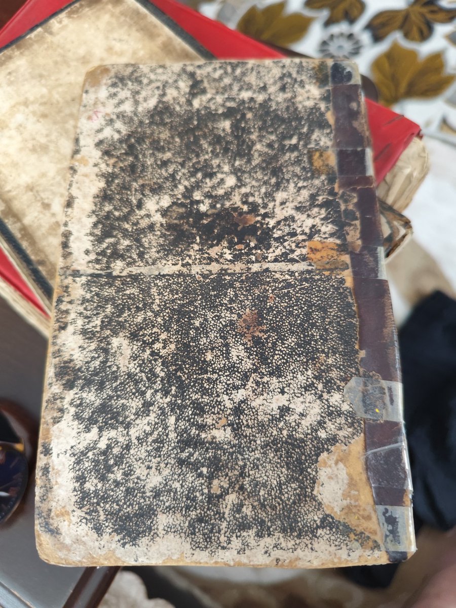 Hanifi TAŞKIN tweet media