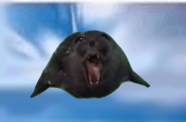 fluffybeeeee tweet media