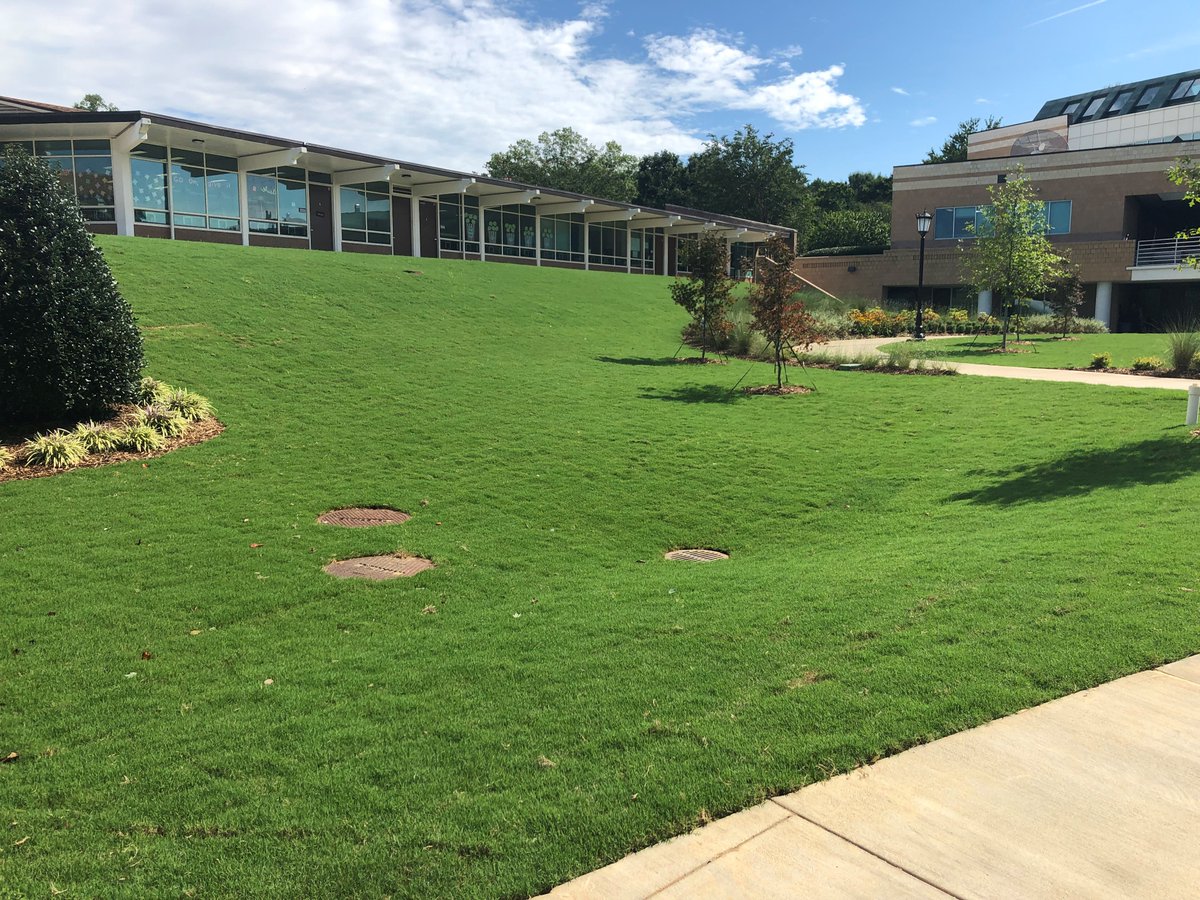 TifTuf Turfgrass - Official Account tweet media