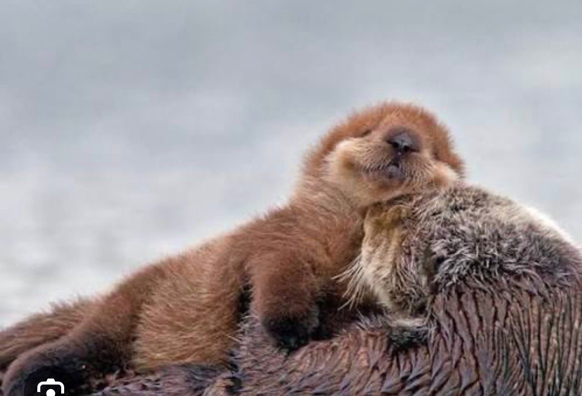 Here, have a cute to brighten your day. :3