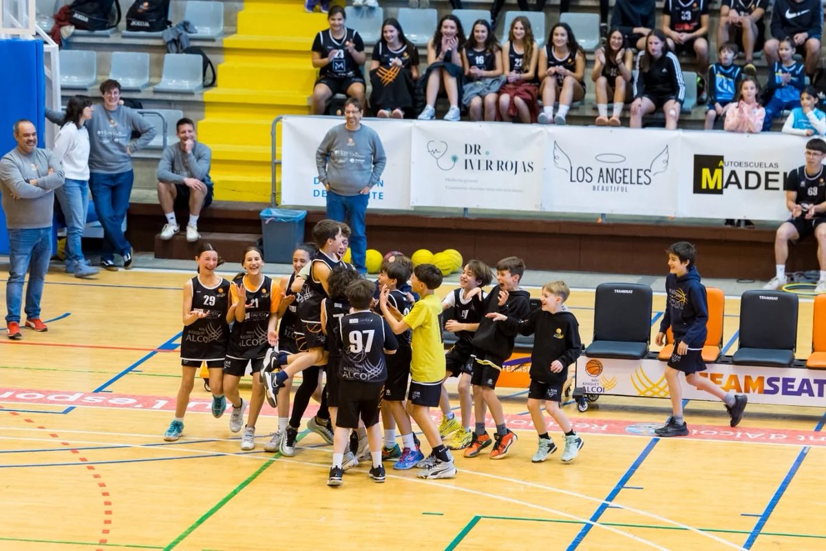 Nou Bàsquet Alcoi tweet media