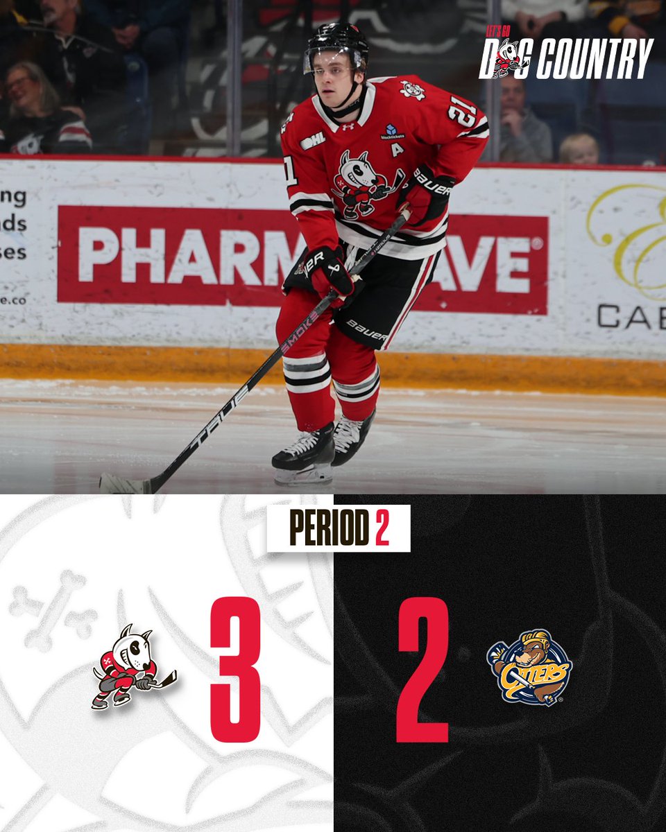 x-Niagara IceDogs tweet media