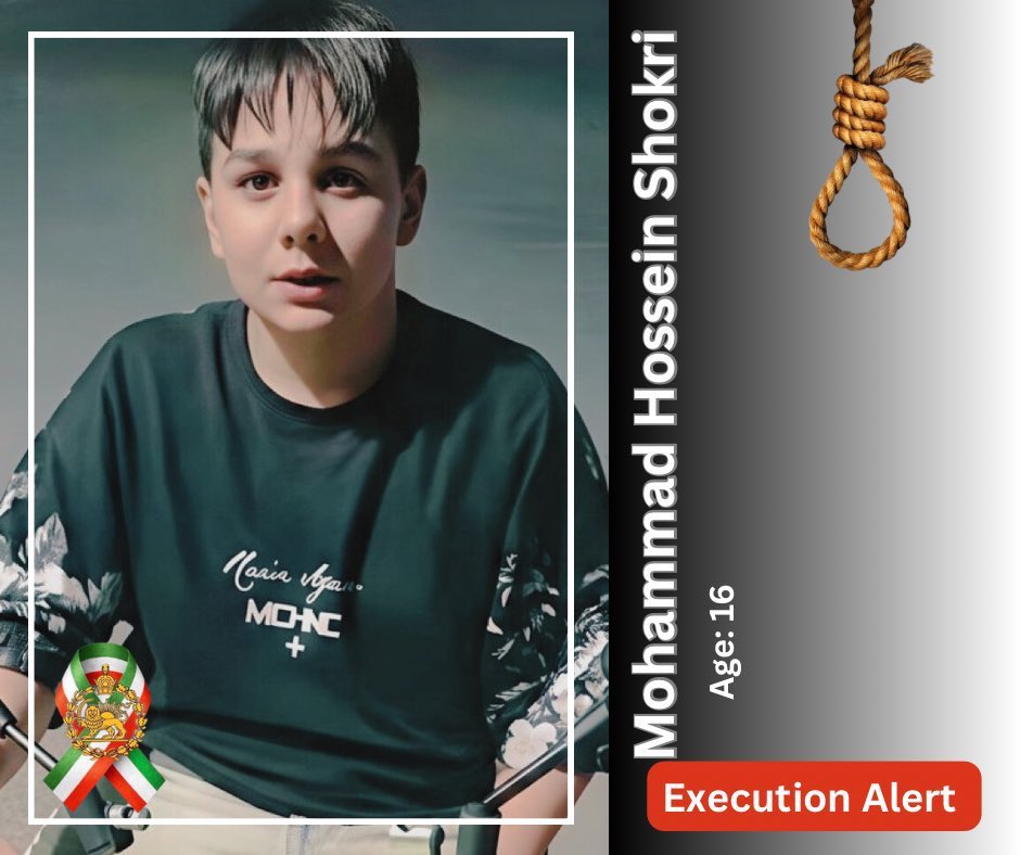 أحمد خليفة tweet media